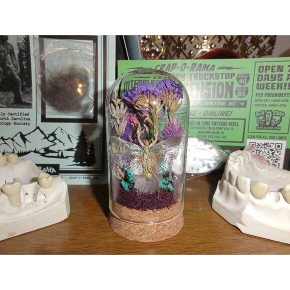 Praying Mantis Crystal & Flowers Oddity Jar insect taxidermy curiosity dome goth - Picture 7 of 15
